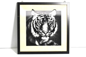 Holographic Tiger Framed Art - 17"x17"