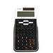 SHARP Advanced DAL Calulcator