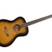 George Washburn Limited Acoustic Guitar