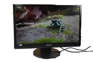 Samsung Computer Monitor - Older