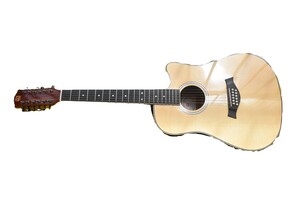 Vangoa 12-string (conv to 6) acoustic/electric guitar in soft gig bag
