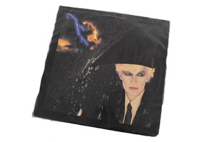 Japan: Gentlemen Take Polaroids - Vinyl Record