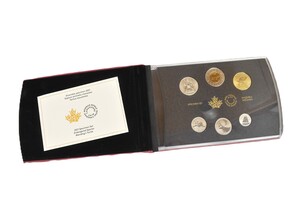2021 CAD Specimen Set - Blanding's Turtle