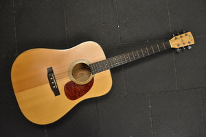 Cort Earth 100 Acoustic Guitar