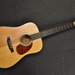 Cort Earth 100 Acoustic Guitar
