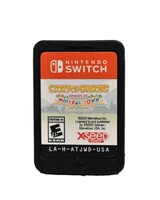 Story of Seasons Friends of Mineral Town - Switch Game