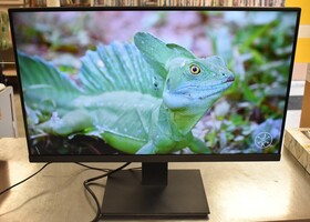 Koorui 24-inch Computer Monitor - 1080p / 75hz