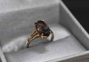 10K Gold Ring with Deep Brown Oval Stone