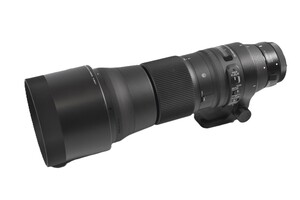Sigma for Canon 150-600mm f/5-6.3 Lens with 1.4x Teleconverter