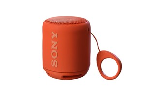 Sony SRS-XB10 Bluetooth Speaker
