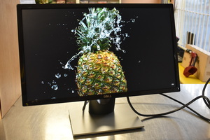 DELL FHD Computer Monitor