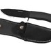 Buck Fixed Blade in Sheath